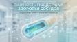 Сосуды, эндотелий и головные боли: почему важно поддерживать сосудистое здоровье
